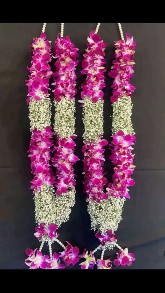 Orchid Elegance